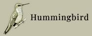 Hummingbird